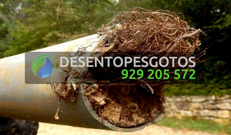 Desentupimentos Barcarena