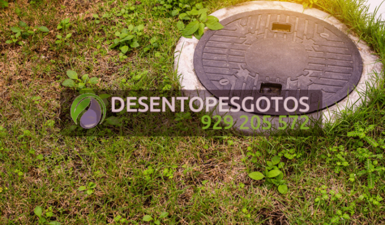 Três Coisas que NÃO Deve Colocar na Sua Fossa Séptica