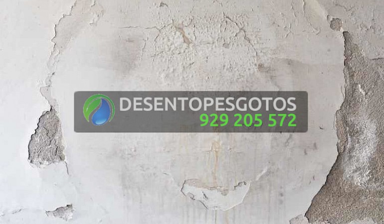 5 Dicas Essenciais para a Detecção de Fugas de Água