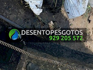 Desentupimento de Canos com Raízes