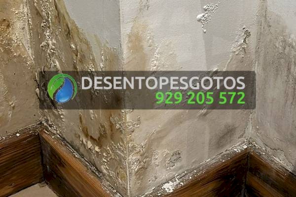 Detecção e reparação de fugas de água