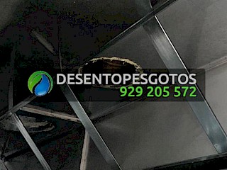 Limpeza de Condutas de Exaustão