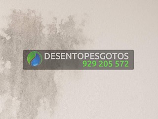 Como evitar infiltrações em casas de férias: técnicas e produtos recomendados