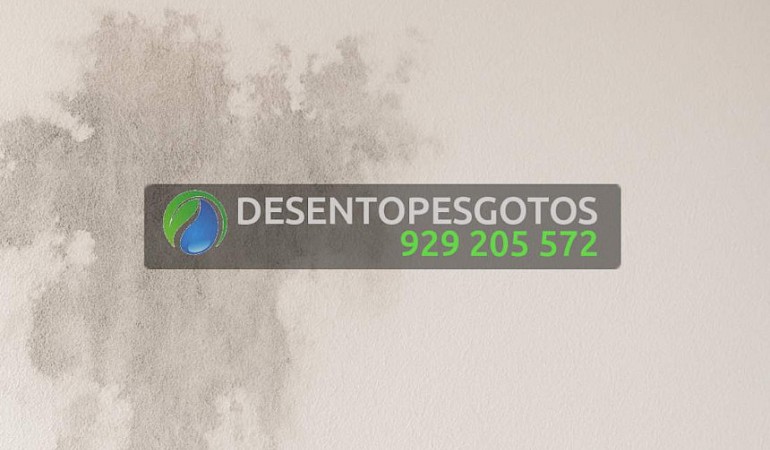 Como evitar infiltrações em casas de férias: técnicas e produtos recomendados